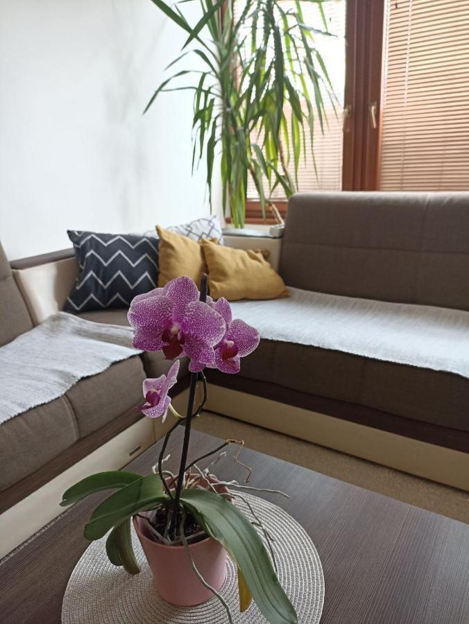 Apartment Bella Casa Free Parking SJJ Exteriör bild